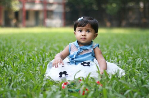 Why Every Mom Needs a Portable High Chair